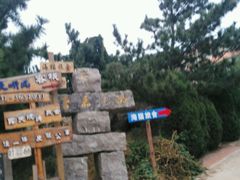 -山东大学(威海校区)