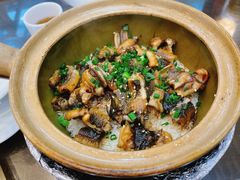 -红星光发煲仔饭(文海店)