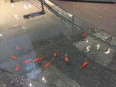-大韩民国临时政府旧址
