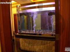 -肇庆奥威斯酒店