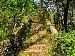 -青龙山国家森林公园