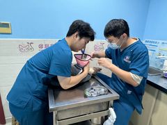 -哆趣宠物医院·眼科·内镜·急重症转诊中心(上海店)