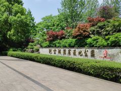 -重庆彩云湖湿地公园