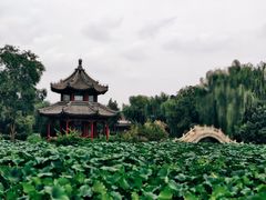 -莲池书院博物馆