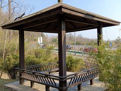 -南京老山国家森林公园