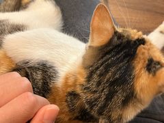 -Again Coffee Roaster(香蜜湖店)