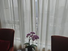 -宁波香格里拉大酒店