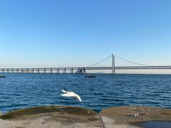 -星海广场