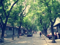 -北京国子监胡同