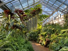 -国家植物园南园