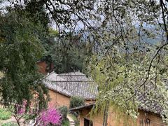 -杨家堂村