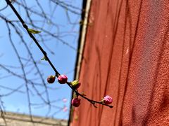 -西安市广仁寺