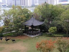 -合肥融创永乐半山酒店·永乐半山西餐厅