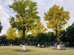 -花溪公园