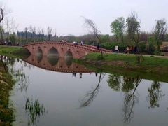 -白鹭湾湿地公园