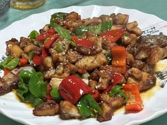 -煲来饱去冷水鱼