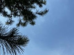 -山西辰憬国际高尔夫俱乐部