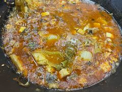 -老东北三江野生大鱼坊(登封店)