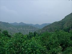 -幽岚山·童话森林