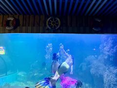 -左海海底世界