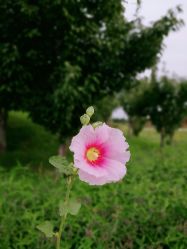 -圣露庄园·草坪婚礼·宴会厅·会议