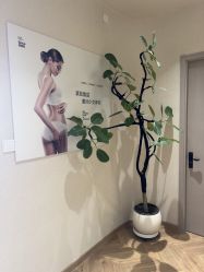 -美丽妈妈产后恢复中心(南桥旗舰店)