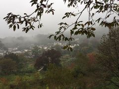 -塔川景区