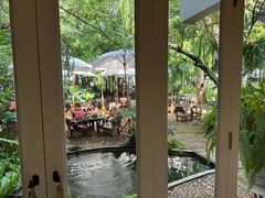 -Fern Forest Cafe