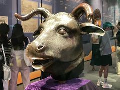 -广西壮族自治区博物馆