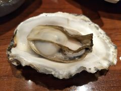 -千岛蚝高压锅生蚝·人参火锅(白云万达店)