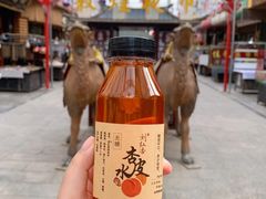 -沙州食驿·非遗小吃夜市