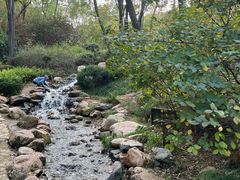 -大连植物园