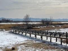 -野鸭湖国家湿地公园