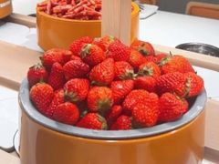 -龍歌自助小火锅(李沧顺和汇店)