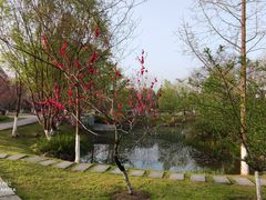 -江南大学(蠡湖校区)