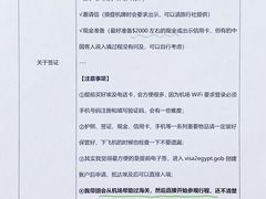 -开罗国际机场