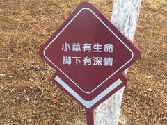 -天津东丽湖风景区