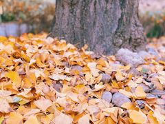 -苏州河梦清园环保主题公园