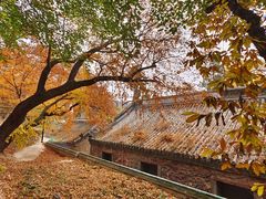 -潭柘寺景区