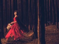 -铁山坪森林公园