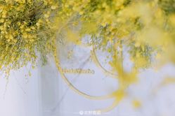 -花轿喜屋婚礼策划