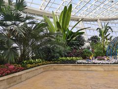-石家庄市植物园
