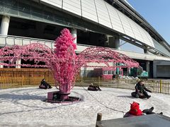 -沈阳奥体冰雪嘉年华