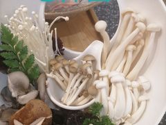 -洪氏嗨捞·猪肚鸡火锅(阳光天地店)