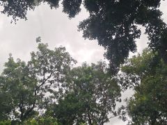 -人民公园(罗湖区)