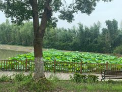 -Angkor SPA 柬埔寨古法按摩(环贸店)