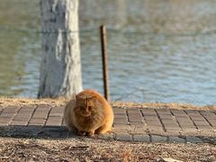 -华东政法大学(松江校区)