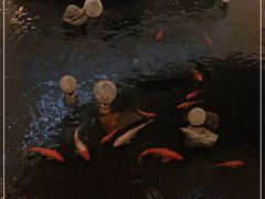-深圳香格里拉酒店