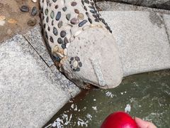 -天赐温泉