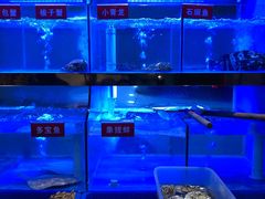 -小龍鳳·港式海鲜打边炉(沙湖路店)
